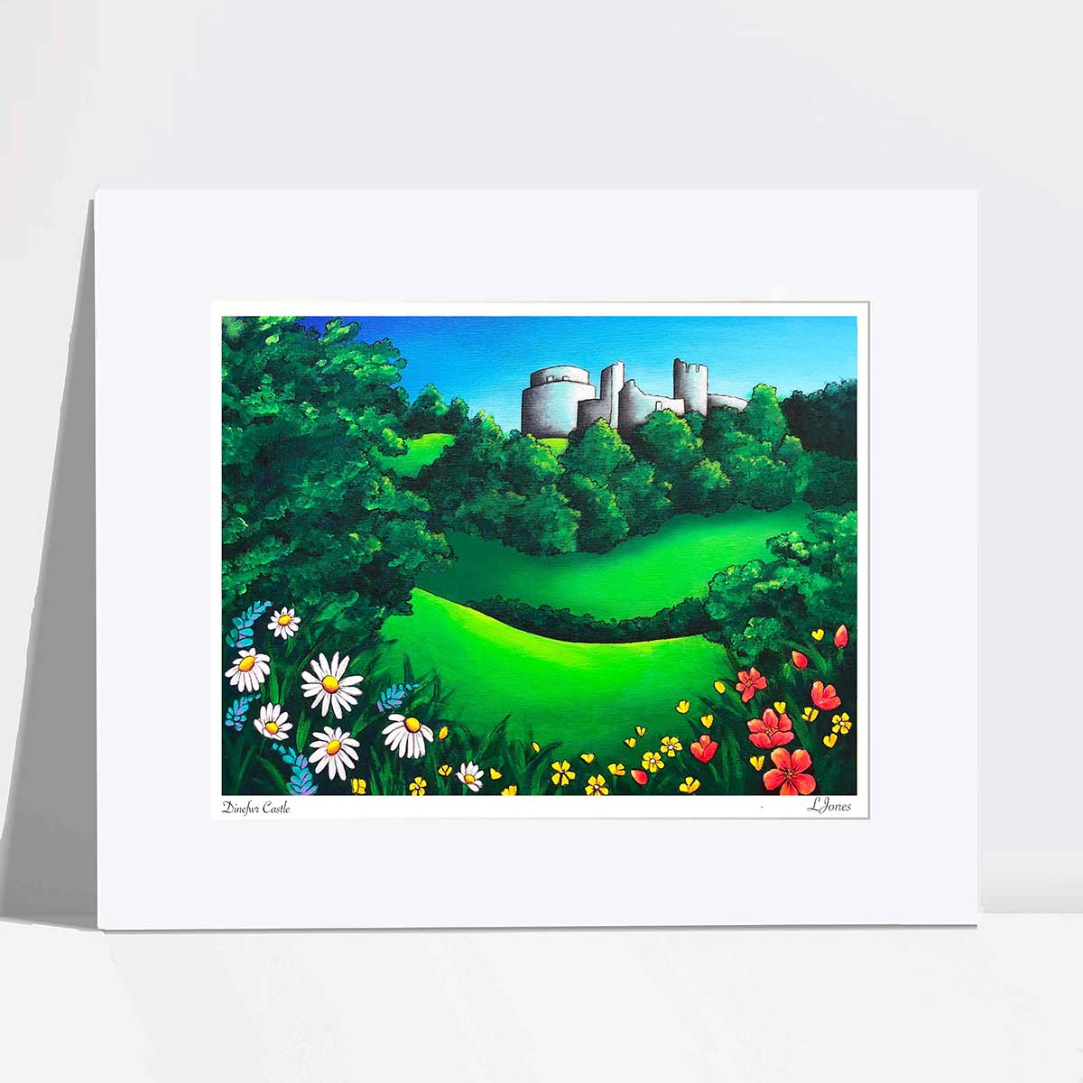 Dinefwr Castle Carmarthenshire Art Print